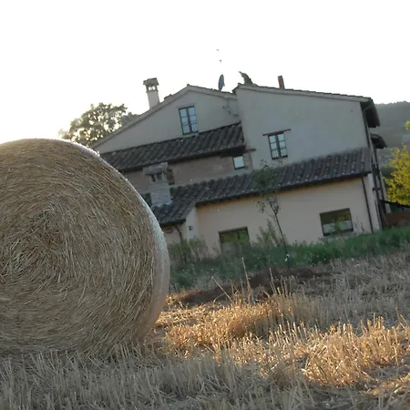 Bed & Breakfast Molenda 3*