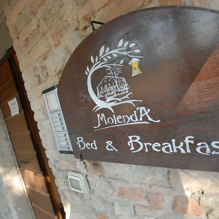 Alojamento de Acomodação e Pequeno-almoço Molenda 3*