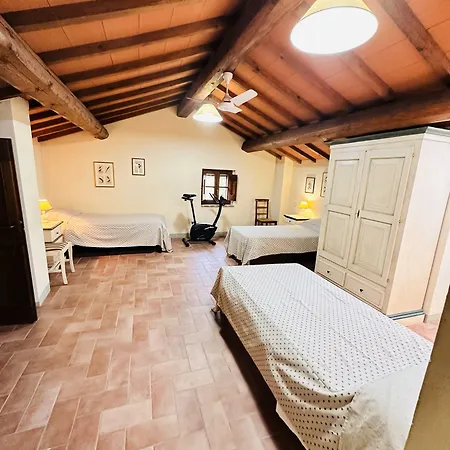 Molenda 3* Città di Castello