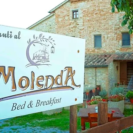 Molenda Città di Castello