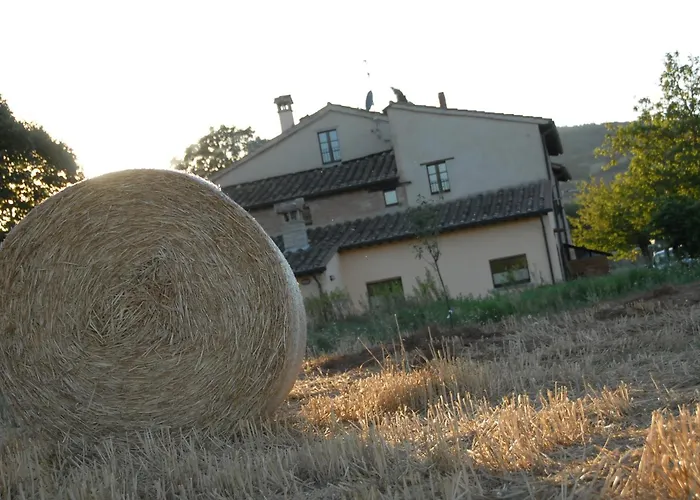 Bed and breakfast Molenda 3*