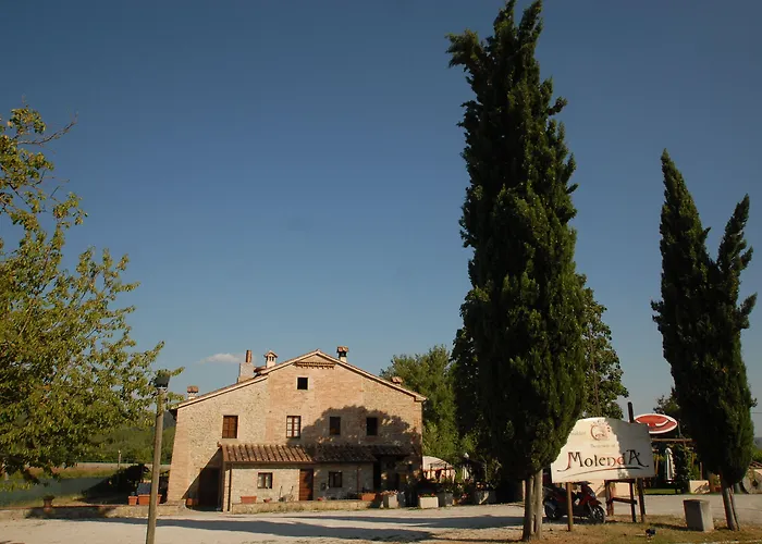 Molenda Panzió Città di Castello